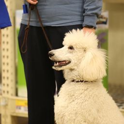 photograph by PeterW